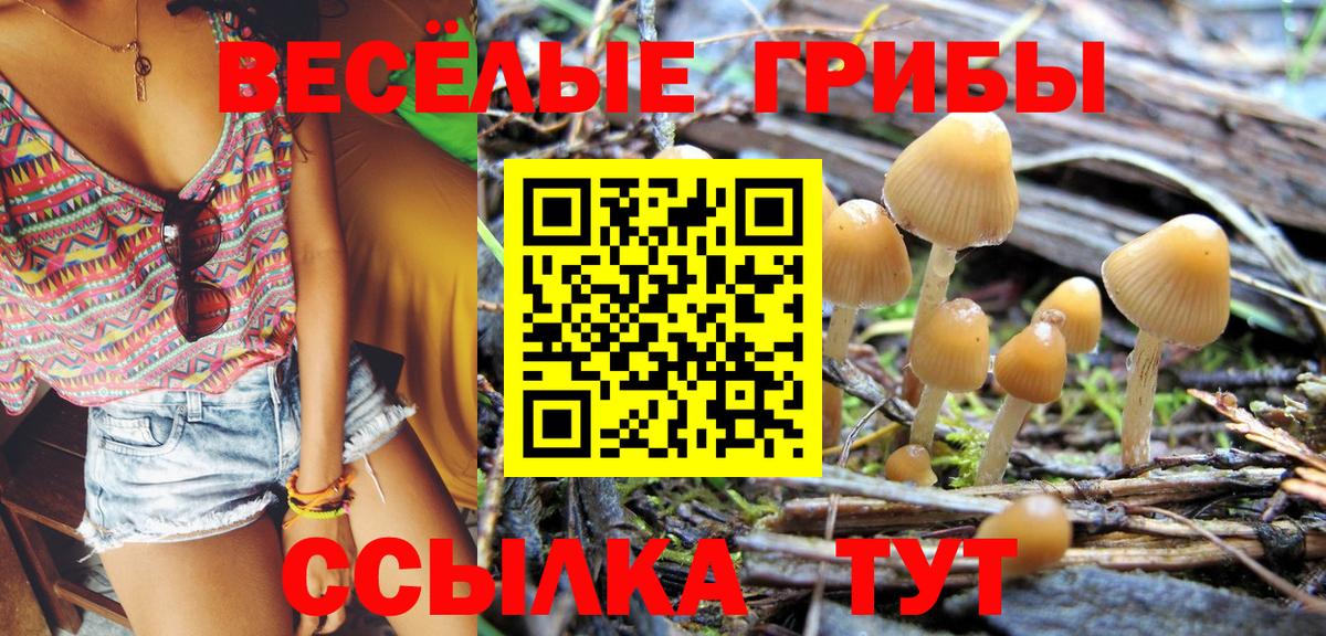 где можно купить   Галлюциногенные грибы мухоморы  Вход с VPN  Псилоцибиновые грибы MAGIC MUSHROOMS  Губкинский 