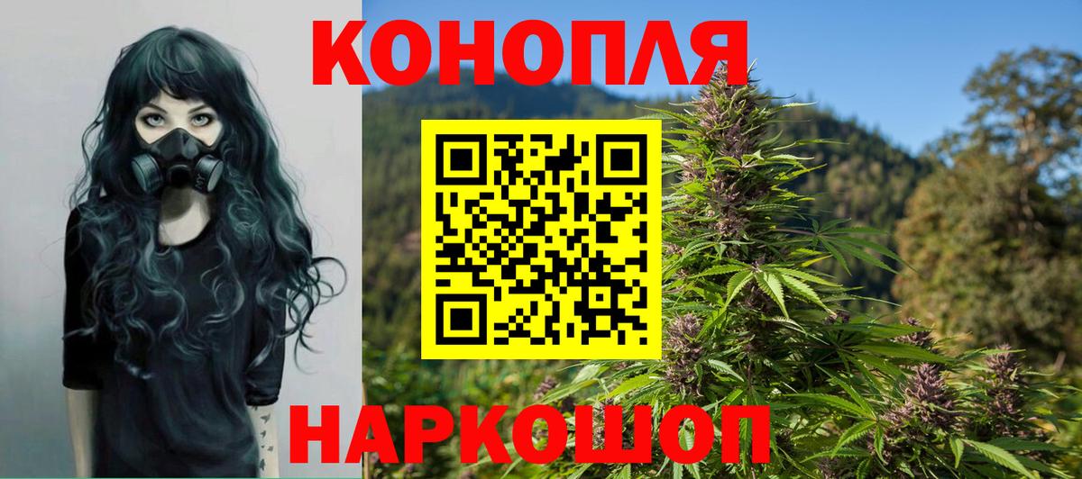 Бошки Шишки индика Губкинский